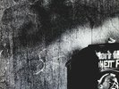 Vinyl LP: S.Y. P. H. Holger Czukay