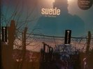 Suede The Blue Hour bundle signed