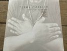 Terry Callier : Timepeace . Talking Loud Label . 9 trk LP . VG