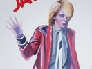 Japan D. Sylvian . ORIGINAL OIL PAINTING ON CANVAS  Quiet life Size .55.5 x 45.