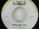 Willie Rodriguez 
