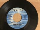 JAMES NELSON MELLOW MELLOW ME TERRI DE SOUL