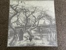 Judas Iscariot - Thy Dying Light 12” Vinyl Record US Black Metal