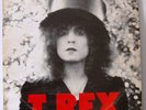 T-Rex Vinyl LP The Slider 1972 EMI Records BLN5001 A1U/B1U /mad monk/solid gold