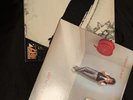 Led Zeppelin - Self-Titled  And ROBERT PLANT- Vinyl LPs. Exc Cond