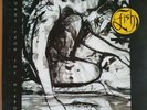 Fish: Songs From The Mirror Original Vinyl LP 1993 (Rare) Marillion.