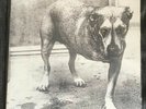 ALICE IN CHAINS Alice in chains (Rare collector 2 LP Original - Holland 1995)