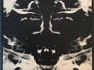 Mott The Hoople Mad Shadows LP