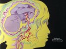 The Keith Tippett Group ?– Dedicated To You, But You Weren't Listening  Vinyl LP