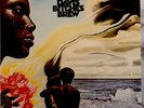 Miles Davis - Bitches Brew - 2x Vinyl LP 2016 - European Gatefold Reissue 180gms