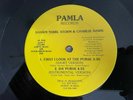 Shawn Terri, Storm First I Looked at the Purse Obscure DETROIT Funk Rap Hear