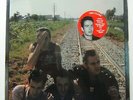 ORIGINAL THE CLASH LP Combat Rock EPIC In Shrink w/ Hype Stickers