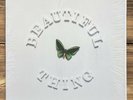The Stone Roses Beautiful Thing 12” Vinyl Single One Sided Near Mint no.2618