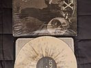 NOFX - First Ditch Effort (colored vinyl) Fat Wreck Chords