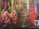 Husker Du-Warehouse:Songs And Stories Fluorescent Green/Yellow 2LP RSD 2014 NM