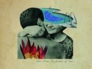 JOSH ROUSE: EMBERS OF TIME (LP vinyl *BRAND NEW*.)