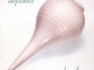 Deftones-Adrenaline VINYL NEW