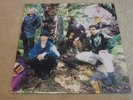 CURRENT 93 - Earth Covers Earth - MEGA Rare 1st Press LP + Insert 1988 - EX/VG+