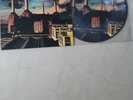 Pink Floyd - ANIMALS  LIMITED EDITION PICTURE DISC  VINYL  