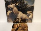 Interpol Our Love To Admire Vinyl LP x2 Album Sealed +CD Heinrich Maneuver 45 7”