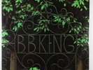 B.B. King - To Know You Is To Love You LP - ABC SEALED