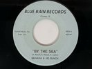 BANANA & HIS BUNCH By the Sea Obscure Moody Chicago Fuzz Garage NM 45 HEAR