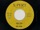 NEAR FUTURE Wait for the Dawn X-Pert Private Heavy Psych Hard Rock VG++ 45 HEAR