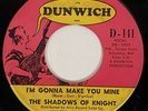 SHADOWS OF KNIGHT I'm Gonna Make You Mine Dunwich Garage Fuzz 45 HEAR