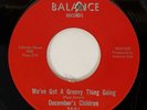 DECEMBER'S CHILDREN We've Got A Groovy Thing Going Balance Garage NM 45 HEAR