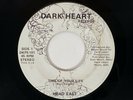 HEAD EAST Time of Your Life Dark Heart Private Hard Rock Pomp Hair Metal 45 HEAR