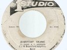 I'M & BRENTFORD RHYTHM BAND - EVERYDAY SKANK / SCATTER ROCK         7