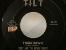 Rockabilly Surf Instro 45 Teddy and The Rough Riders Tomahawk on Tilt HEAR