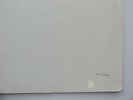 THE BEATLES  WHITE ALBUM 1968  GERMAN STEREO  TOP OPEN  0123781  BLACK INNERS