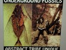 Abstract Tribe Unique ?– Underground Fossils LP Hip Hop 1977 Excellent