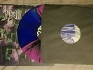 Legend Of Zelda Twilight Princess tribute COLOR Vinyl LP Respawn Record Ltd 500
