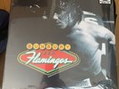 Bunbury Flamingos Vinilo
