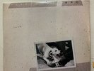 SEALED FLEETWOOD MAC TUSK ORIGINAL RELEASE RECORD VINYL LP ALBUM 1979 2HS 3350