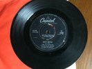 THE STANDELLS 