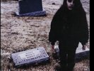 CRYSTAL CASTLES