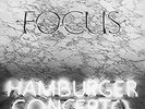 Focus-Hamburger Concerto (1LP Coloured) VINYL NEW