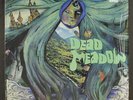 DEAD MEADOW: dead meadow PLANARIA 12