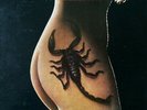 ID7350a-Scorpions-Best Of Scorpions-AFL1-3516-vinyl LP-us-m9s8