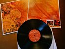 TIAMAT - Wildhoney Rock Dark Metal