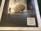 Rush - Hemispheres 40Th Anniversary (3 Lp) VINYL LP NEW