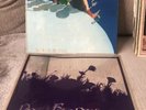 Pink Fairies Never Never Land LP