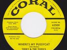 Mod Tittyshaker Garage 45 - TERRY & The TOPICS - Where's My Pussycat