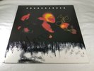 SOUNDGARDEN Superunknown Original USA 1994 Double Clear Record Signed LP Nice