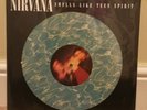Nirvana vinyl picture disc rare , mudhoney soundgarden rage against the machine