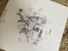 Frightened Rabbit Midnight Organ Fight Fat Cat Limited Edition Coloured Vinyl