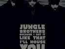 JUNGLE BROTHERS Because I Got It Like That/I'll House You RSD 7